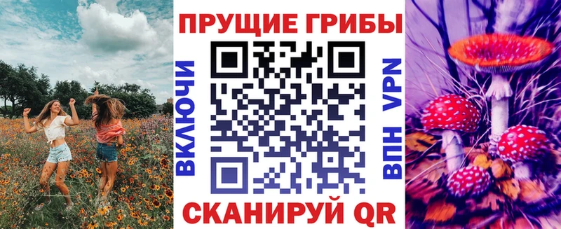 Галлюциногенные грибы мухоморы купить наркоту Демидов